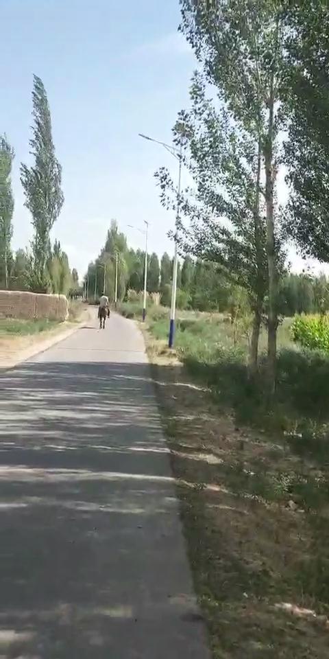 新疆太陽能led路燈